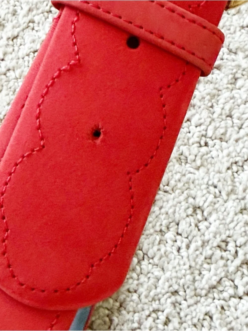 ECHO Burnt Red Suede Leather Belt Sz L Statement Classic Gold Western Career